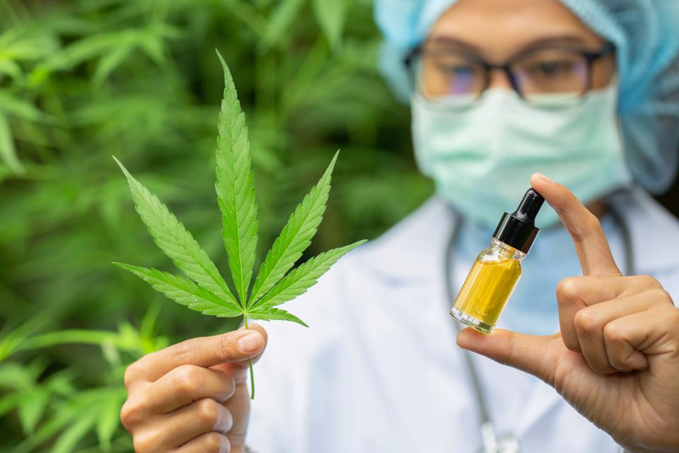 Different Types Of Cbd Oil Toronto Available